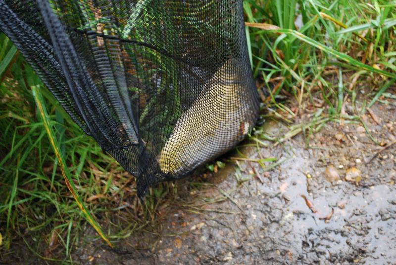 Manor Farm Coarse Fishing Anglers of the Future (28).jpg